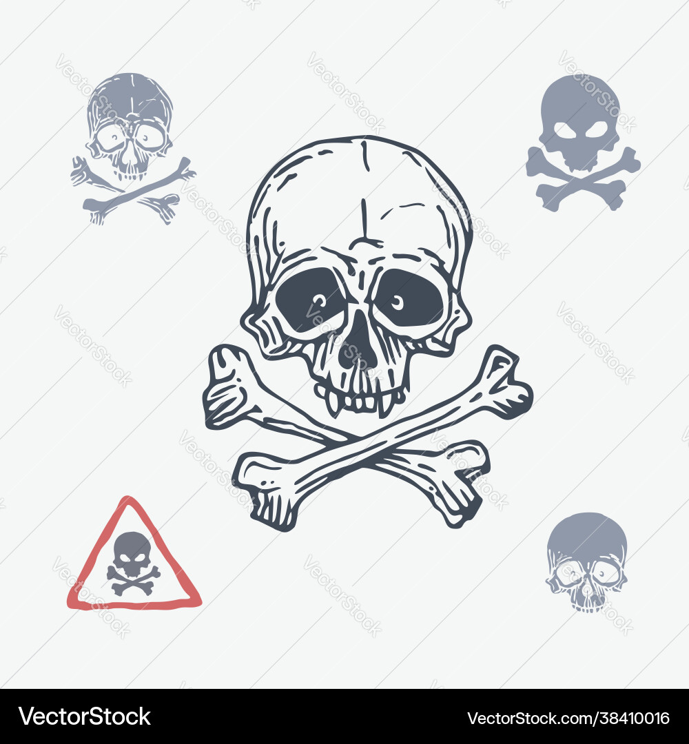 Pirate skull emblem with crossed bones Vector Image