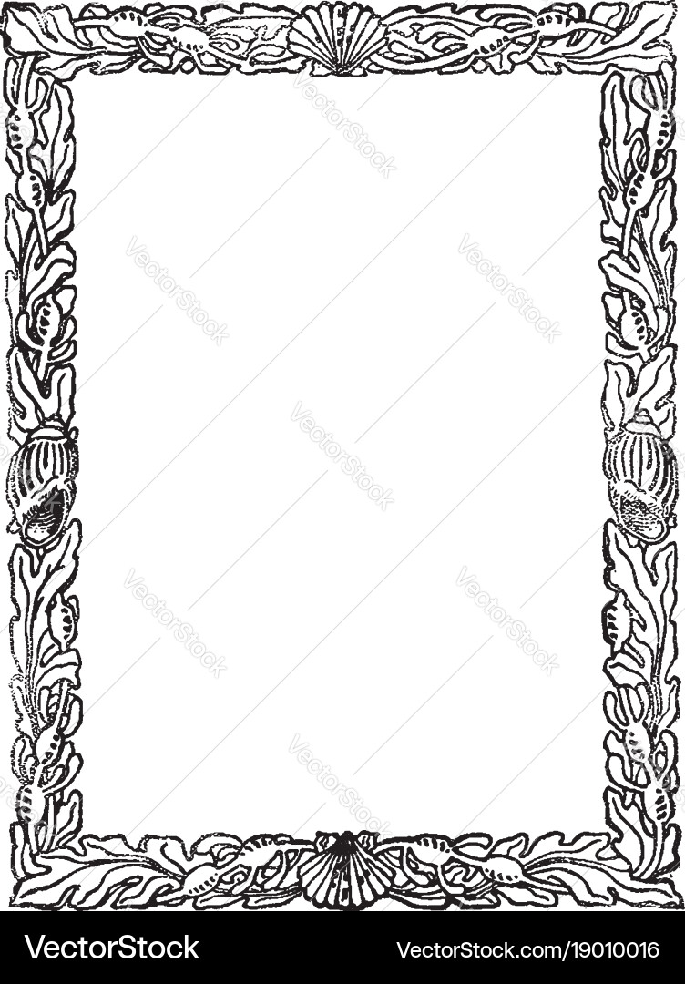 Seashell border is decorated with seashells vector image