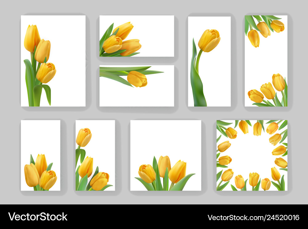 Spring templates with place for text Spring templates with place for text vector image