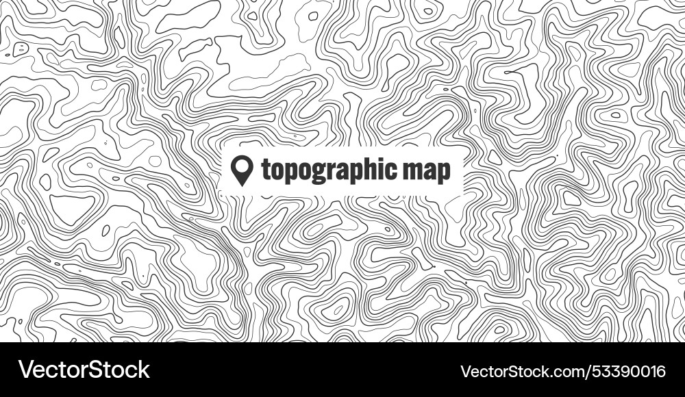 Topographic map with contour lines geographic Topographic map with contour lines geographic vector image