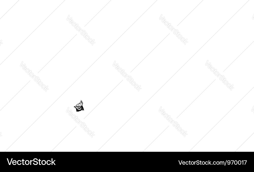 Kopf eines Vogels Vektorbild