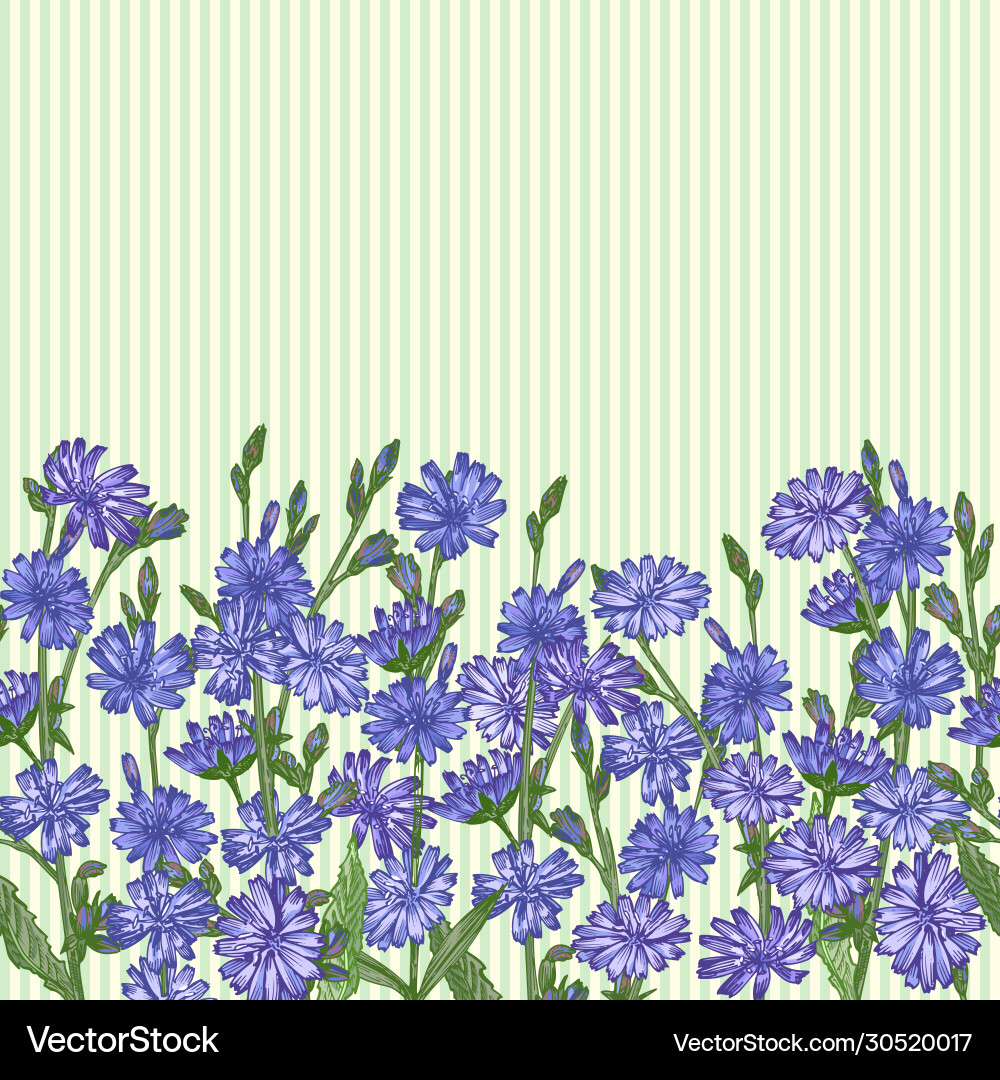 Pattern with realistic botanical color sketch Pattern with realistic botanical color sketch vector image