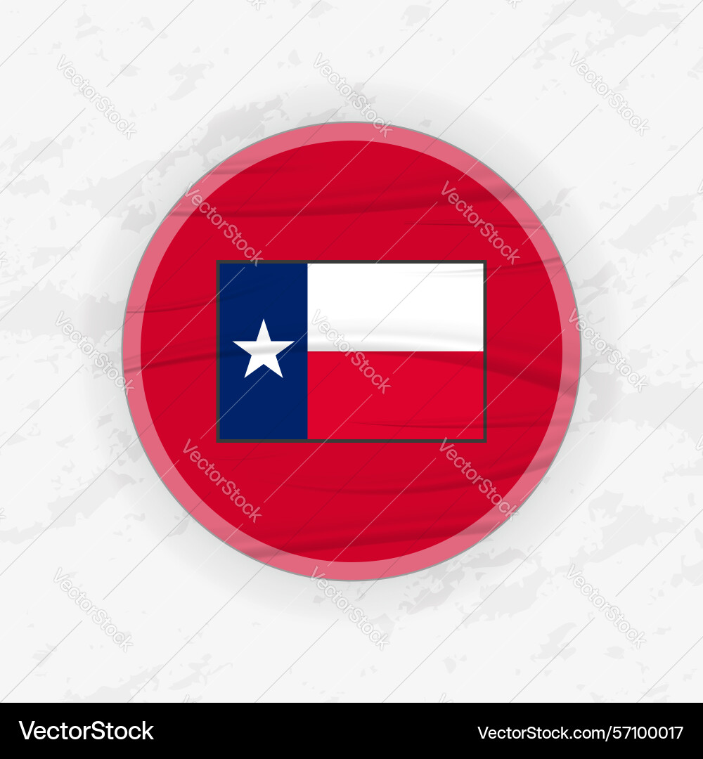 Texan flag in a circular emblem design abstract vector image