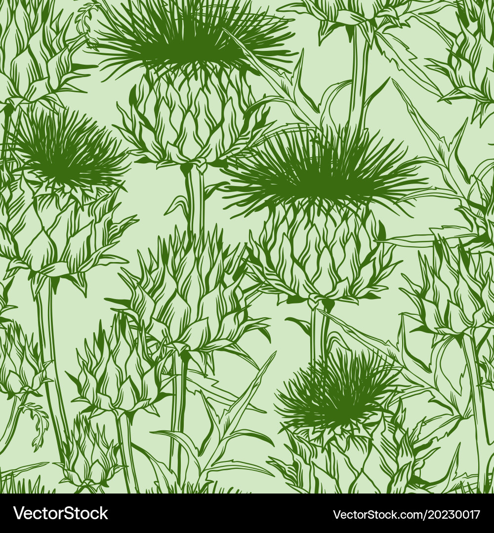 Thistle Seamless Pattern Vector Image