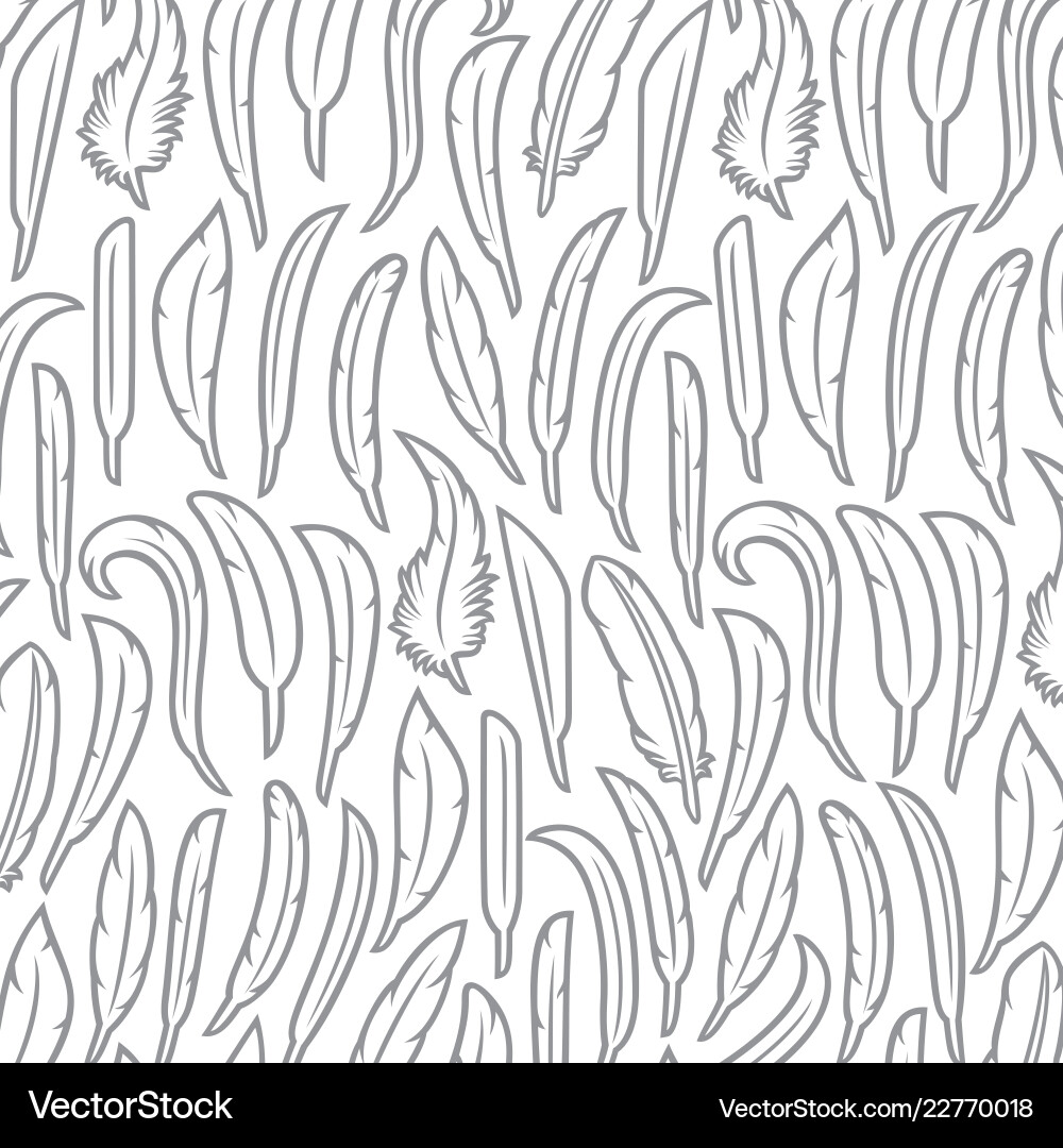 Background pattern with feathers vector image