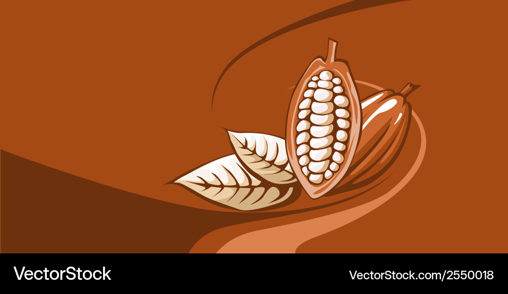 Cocoa Bean with Chocolate Background vector image