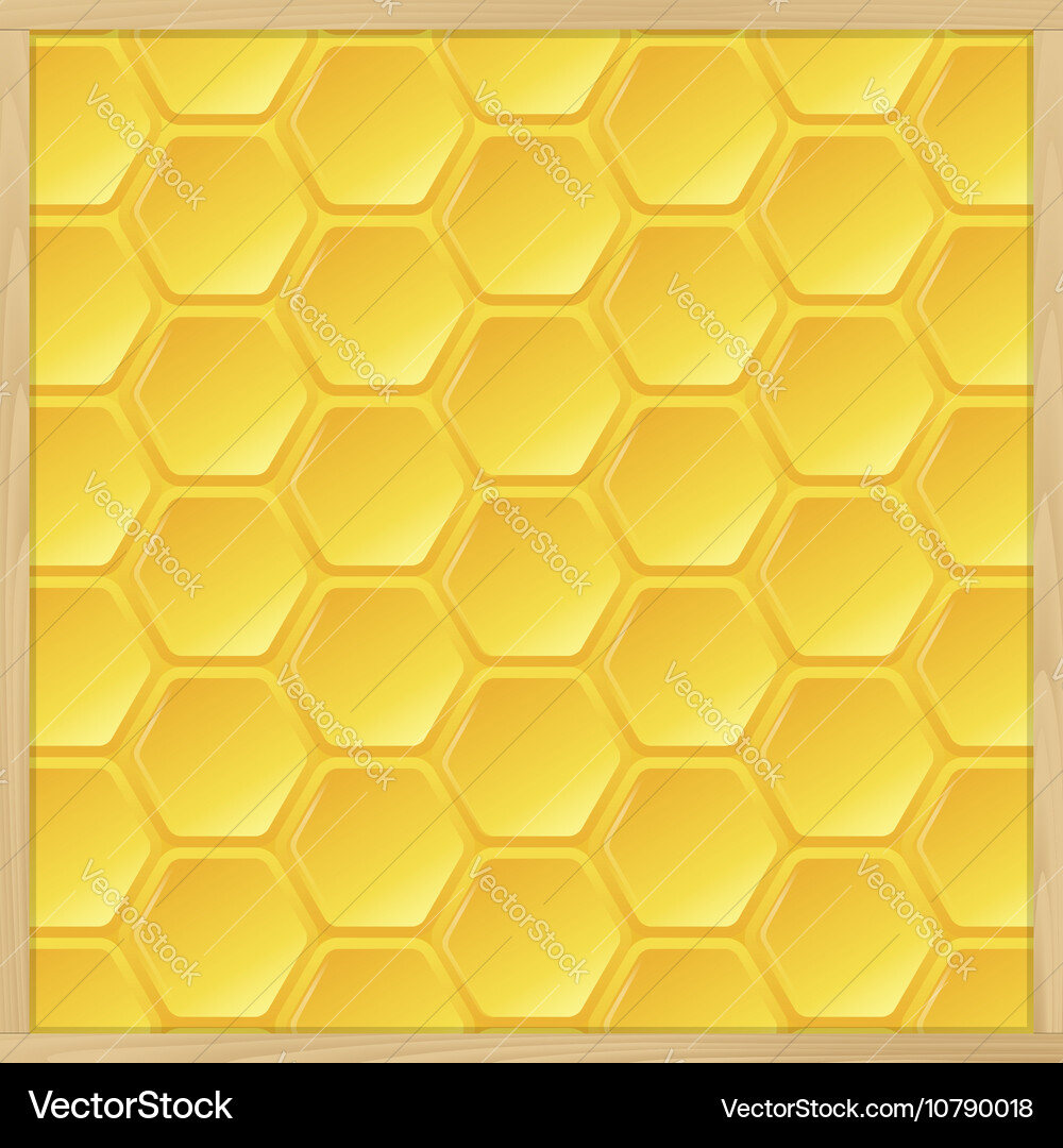 Honeycomb Pattern vector image