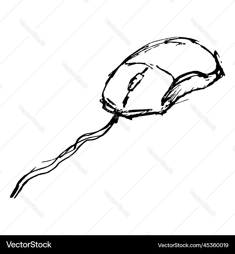 Monochrome computer mouse sketched line art Monochrome computer mouse sketched line art vector image