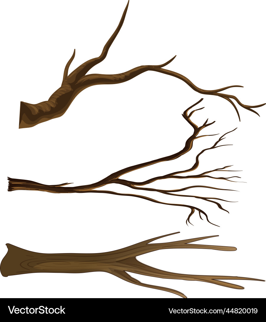 Set of different tree branches isolated Vector Image