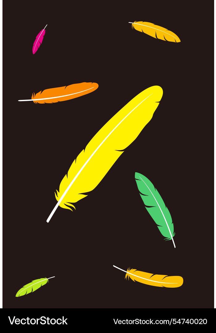 Feather pattern vector image