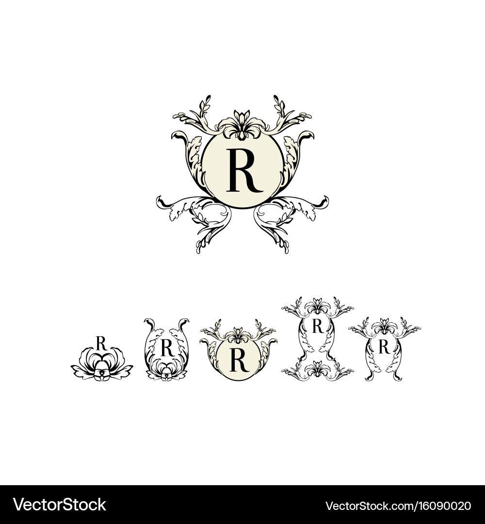 Stylish and elegant frame design template Vector Image