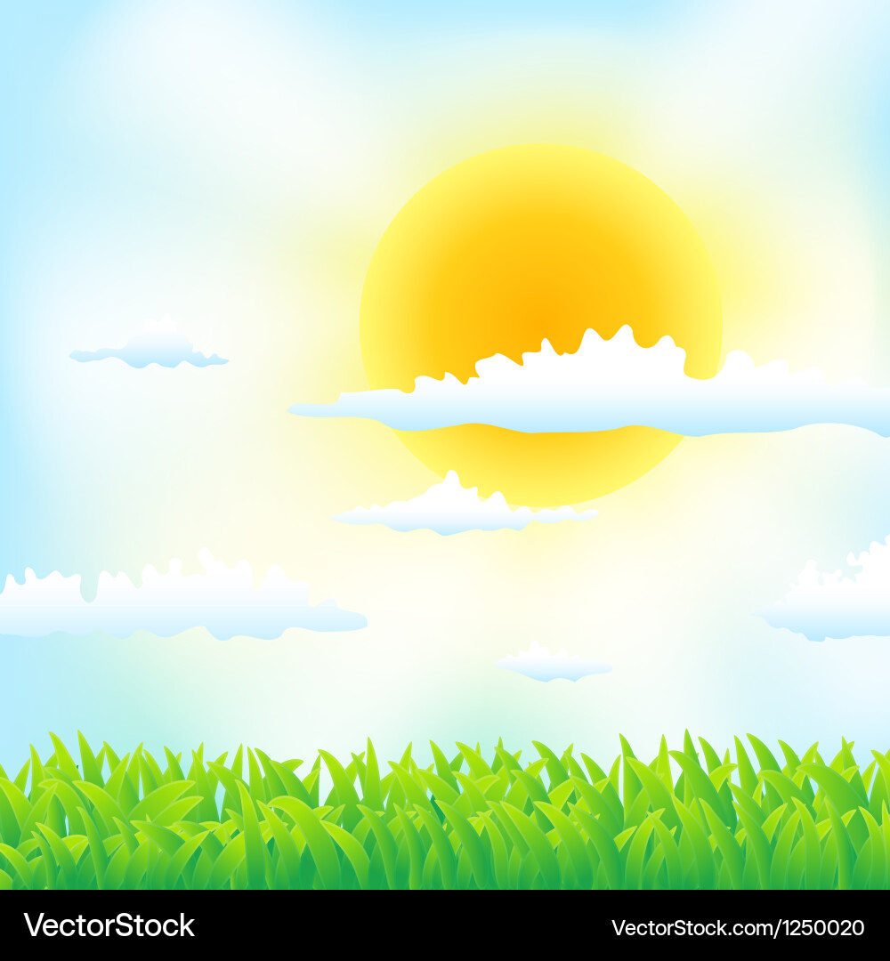 Vibrant Spring Meadow vector image