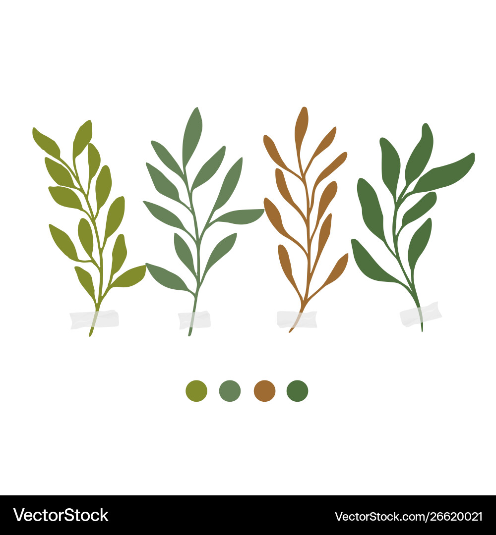 Botanische botanische Clipart Vektorbild