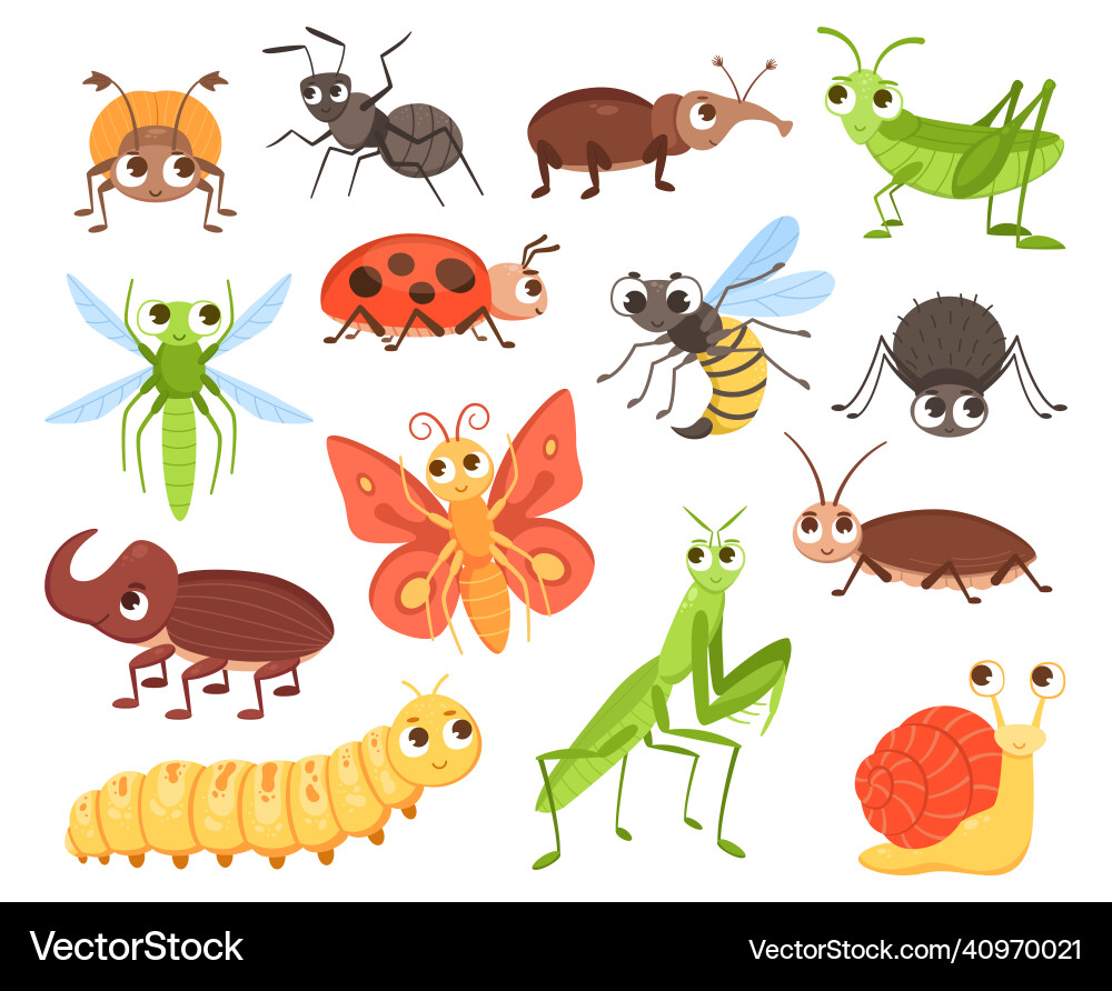 Cartoon insects cute bug characters crawling Cartoon insects cute bug characters crawling vector image