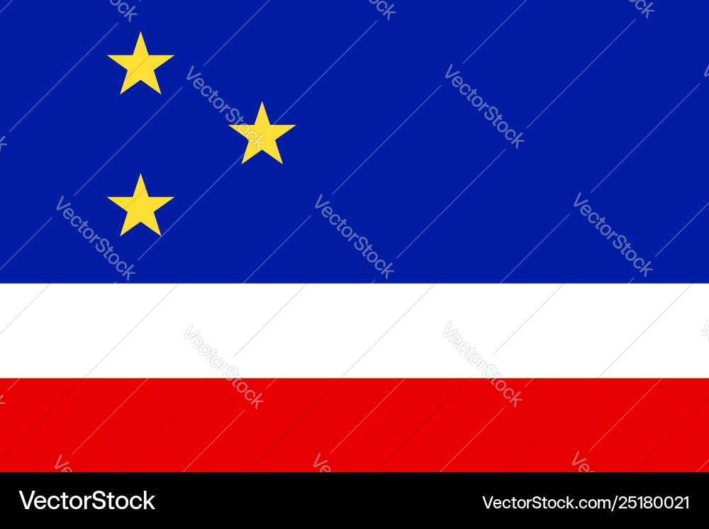 Flag rectangular shape vector image