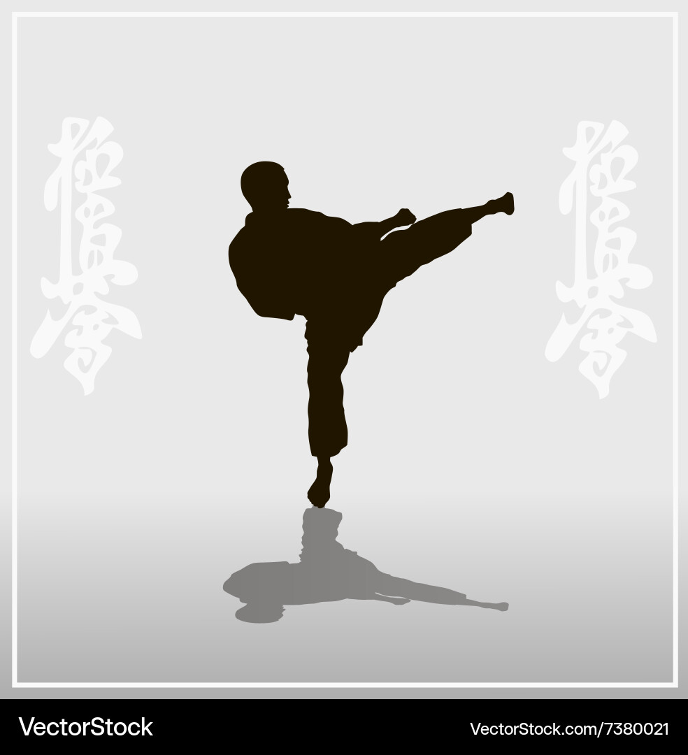 Man showing karate on a light background vector image