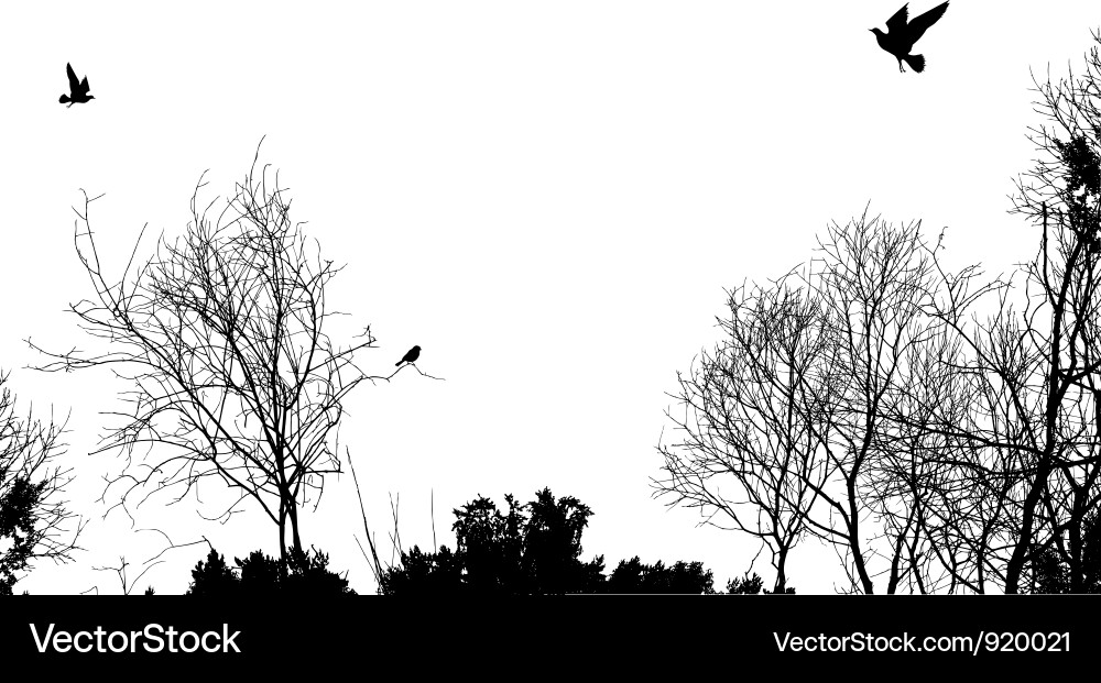 Trees and birds Royalty Free Vector Image - VectorStock