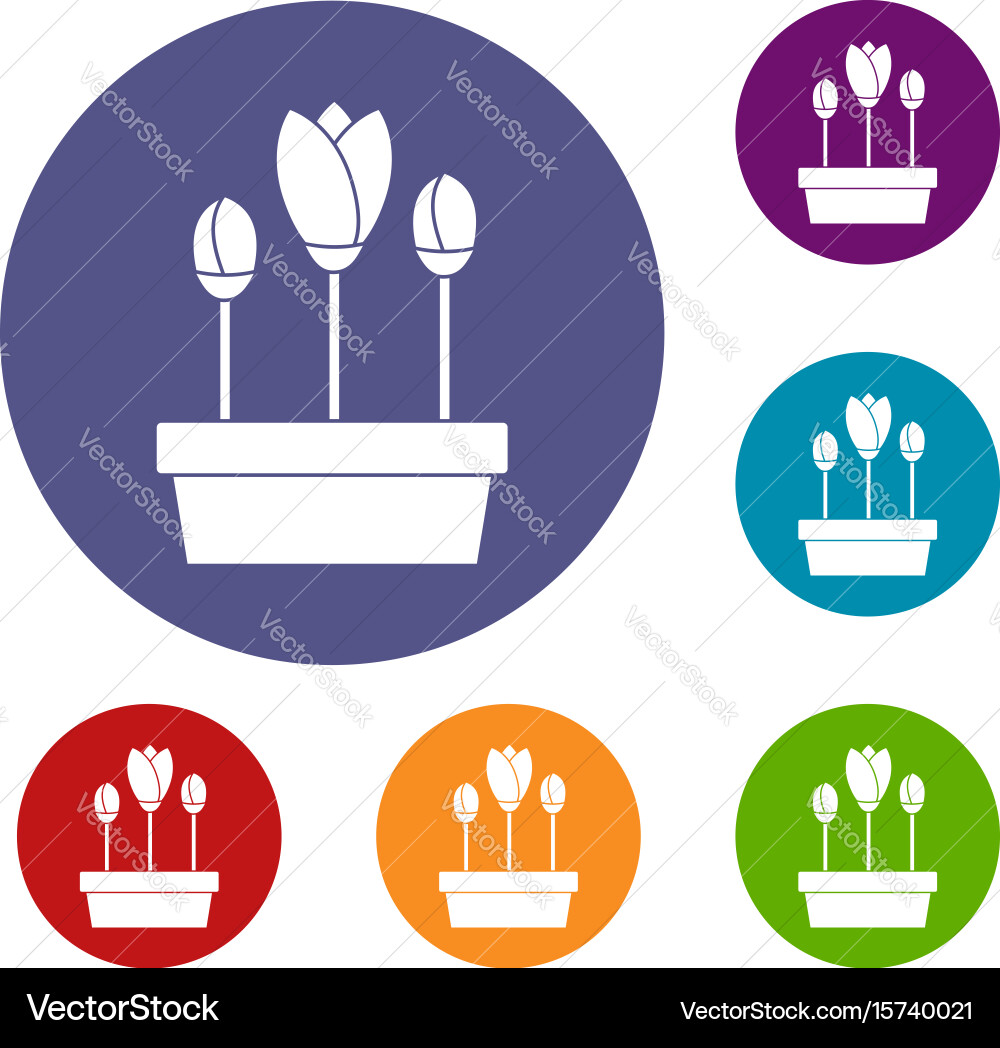 Tulips in box icons set Vector Image