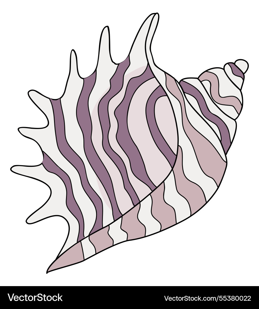 A purple and white shell with zigzag pattern A purple and white shell with zigzag pattern vector image