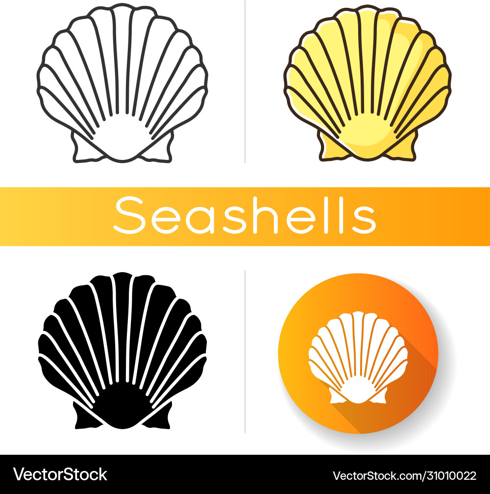 Scallop shell icon vector image