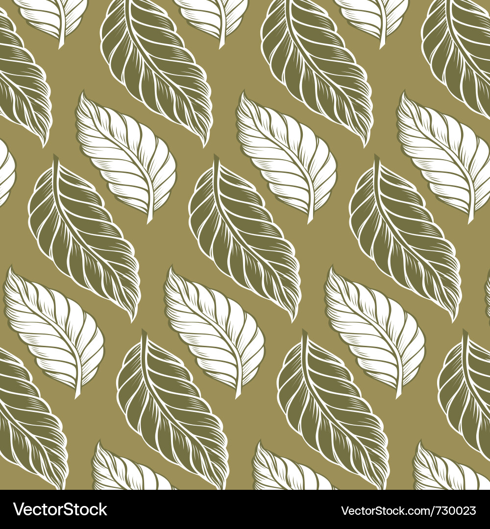 Cacao Leaf Pattern Vector Image
