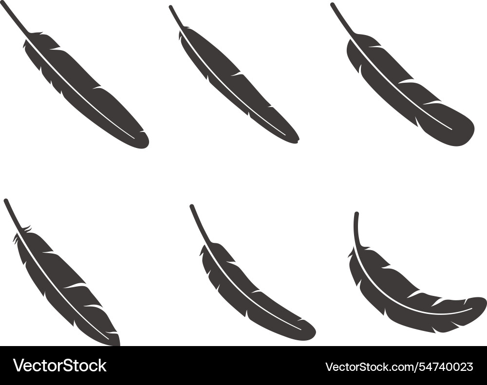 Feather pattern icon set Feather pattern icon set vector image