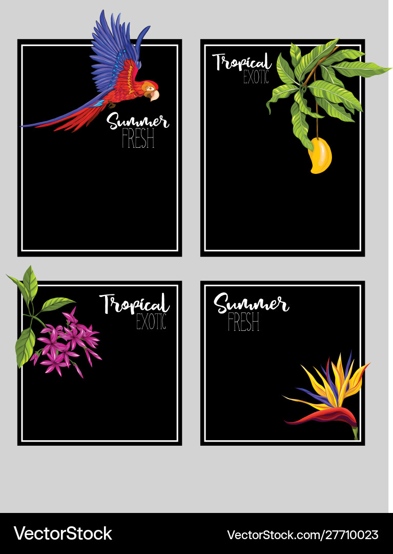 Set text boxes for bullet journal or notes Set text boxes for bullet journal or notes vector image