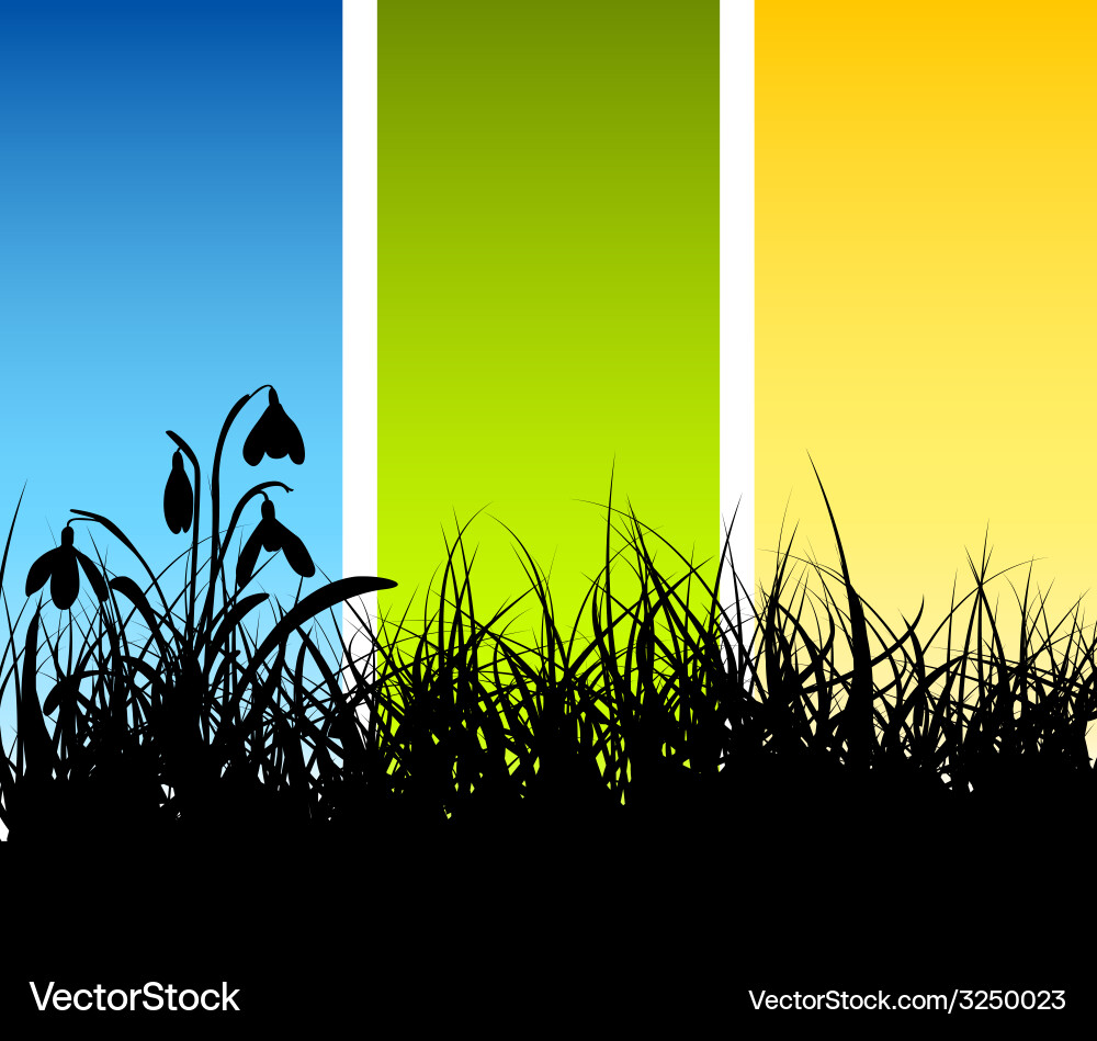 Spring grass background vector image