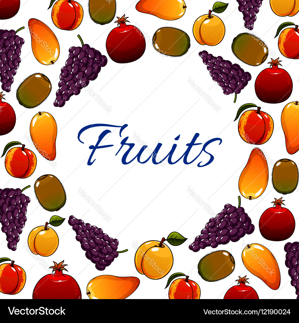 Fruits banner with round space for text vector image