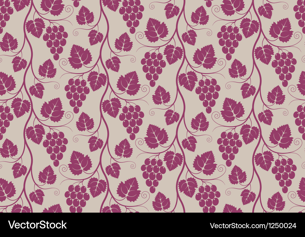 Grape Vine Pattern vector image