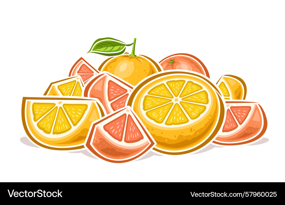 Colorful Grapefruit Heap Vector Image