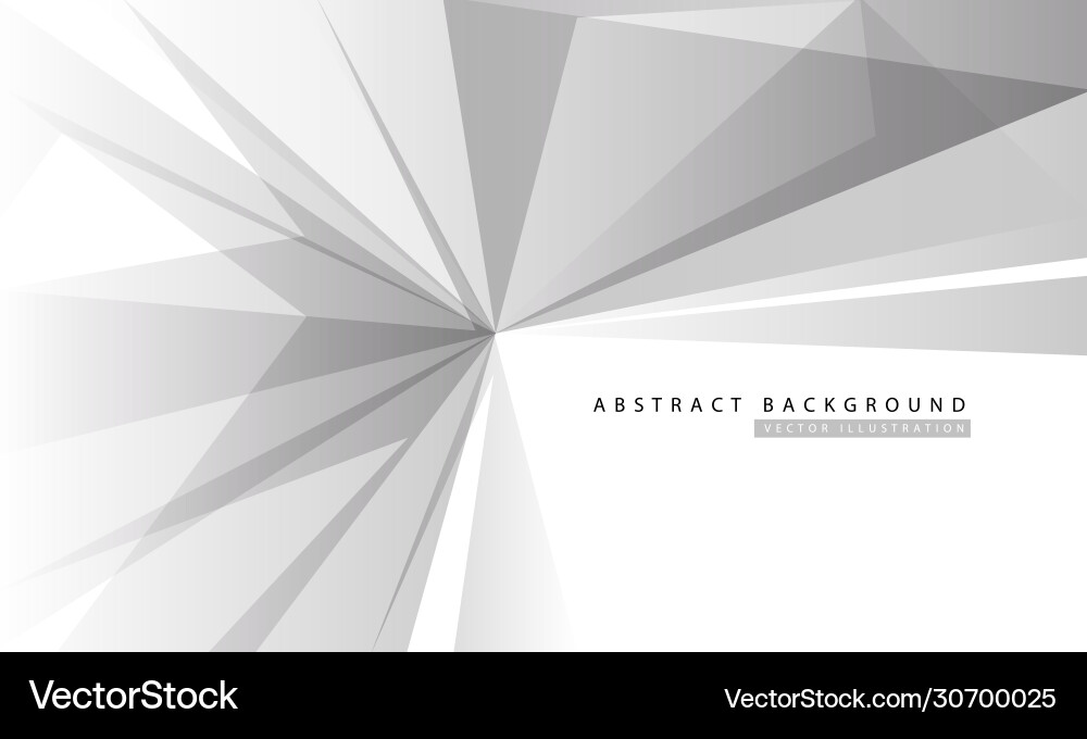 Grey polygon on white with simple text Grey polygon on white with simple text vector image