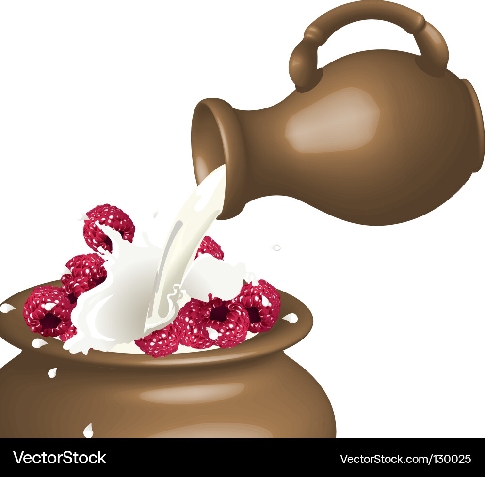 Raspberry vector image