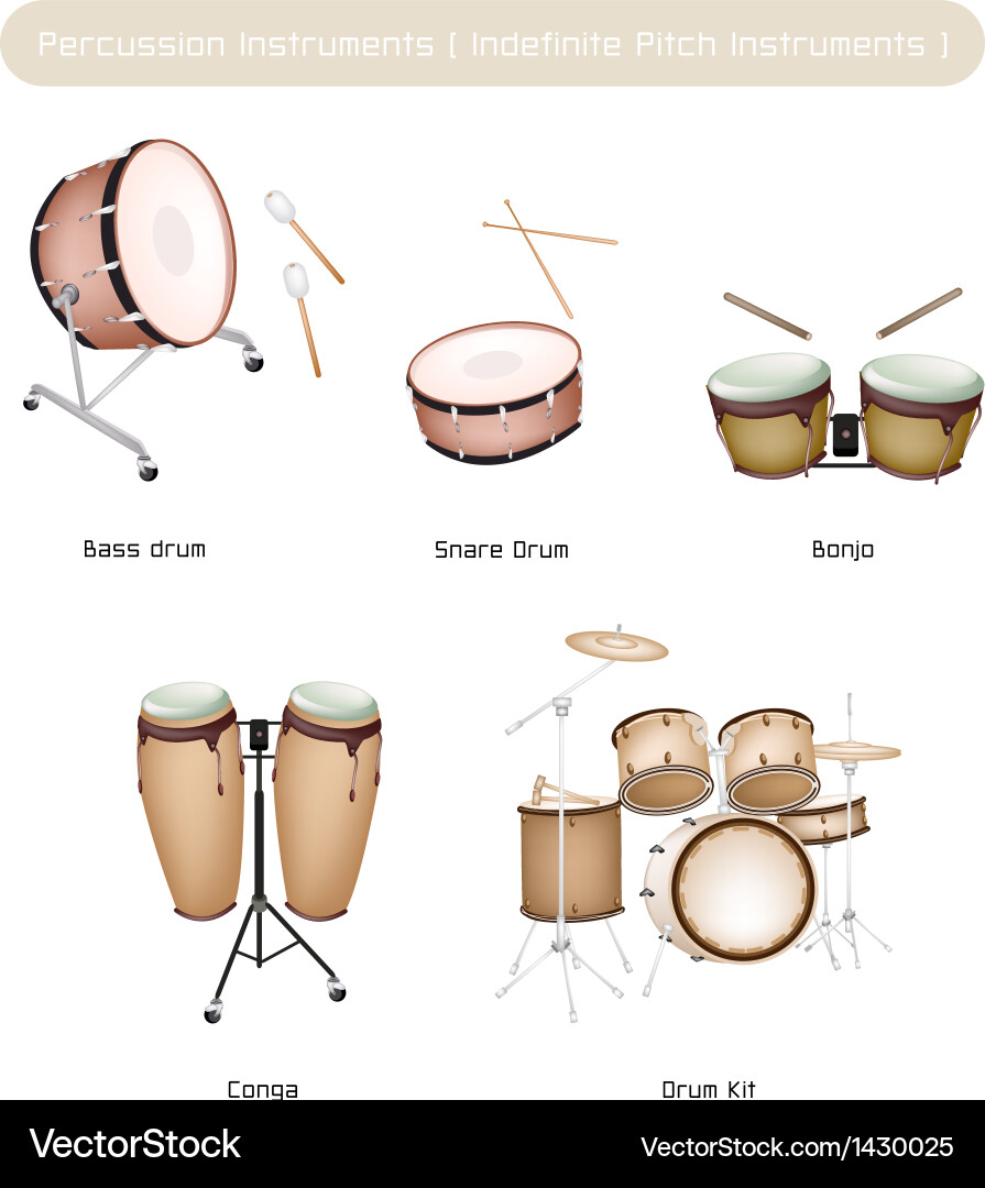 Set of drum instruments with drumsticks vector image