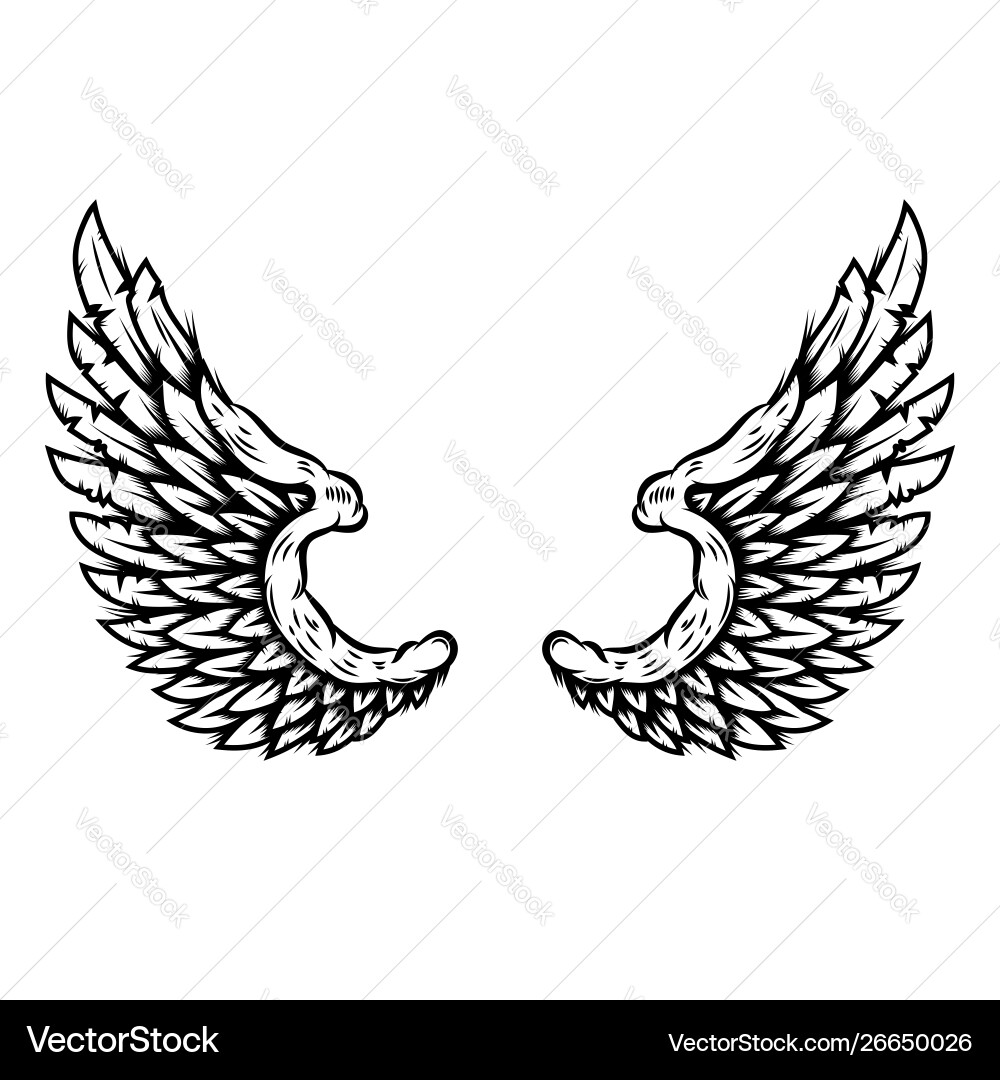 Eagle wings in tattoo style isolated on white Eagle wings in tattoo style isolated on white vector image