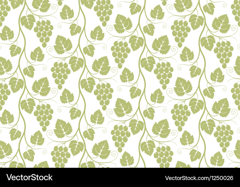 Grape Vine Pattern vector image