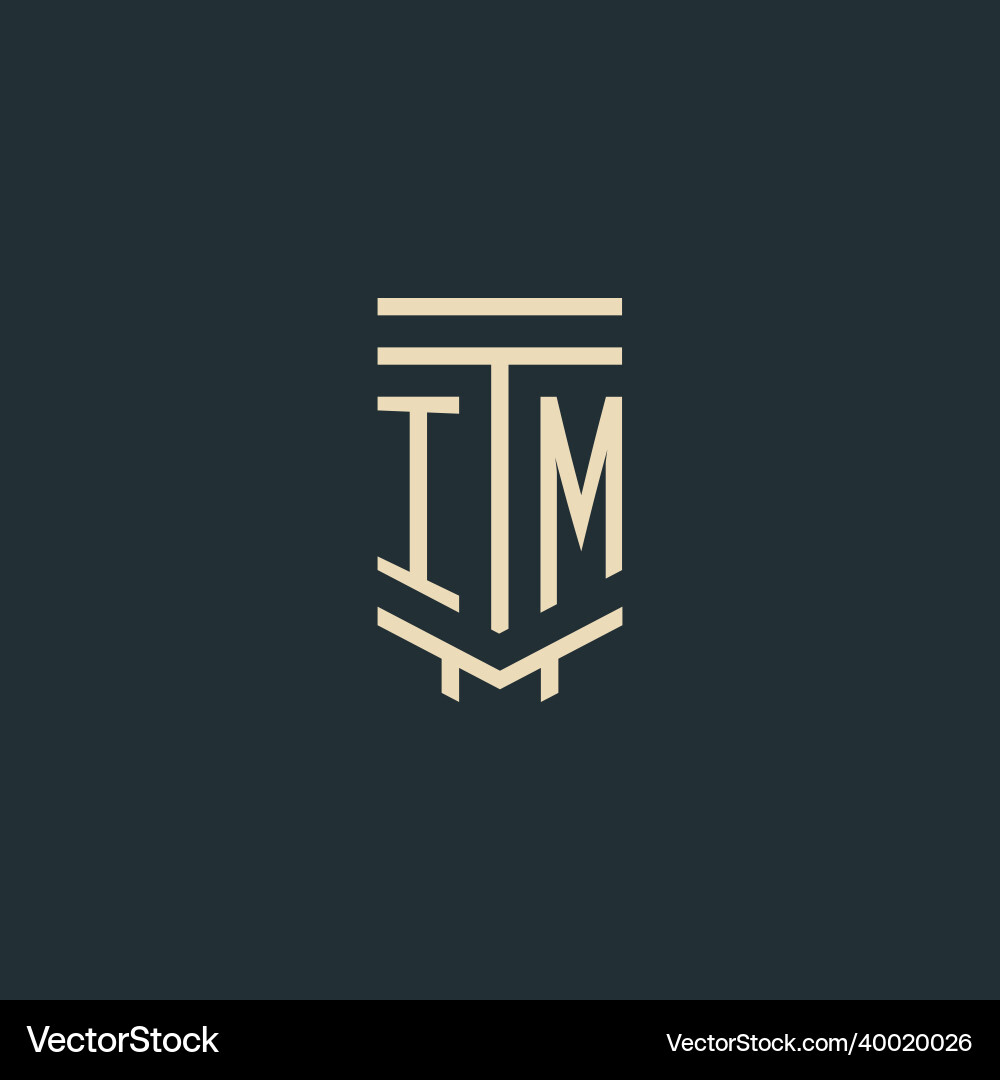 Im initial monogram with simple line art pillar vector image