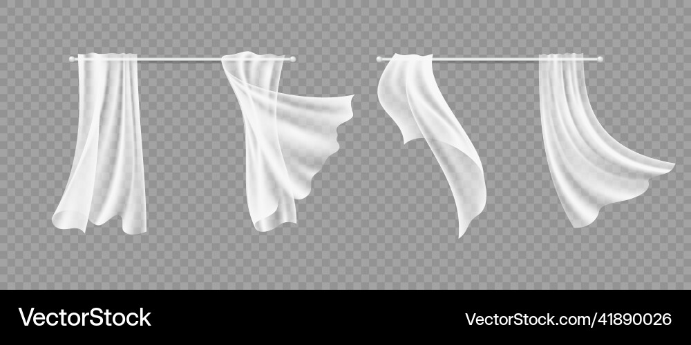 Window curtains transparent white silk hanging Window curtains transparent white silk hanging Vector Image