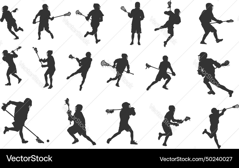 Lacrosse player silhouette silhouettes Royalty Free Vector