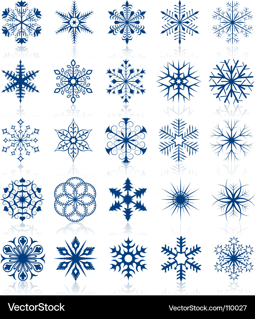 Snowflake Collection Vector Image