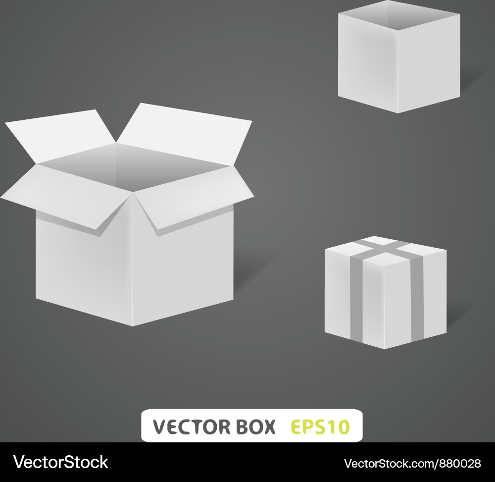 Empty box on a grey background vector image