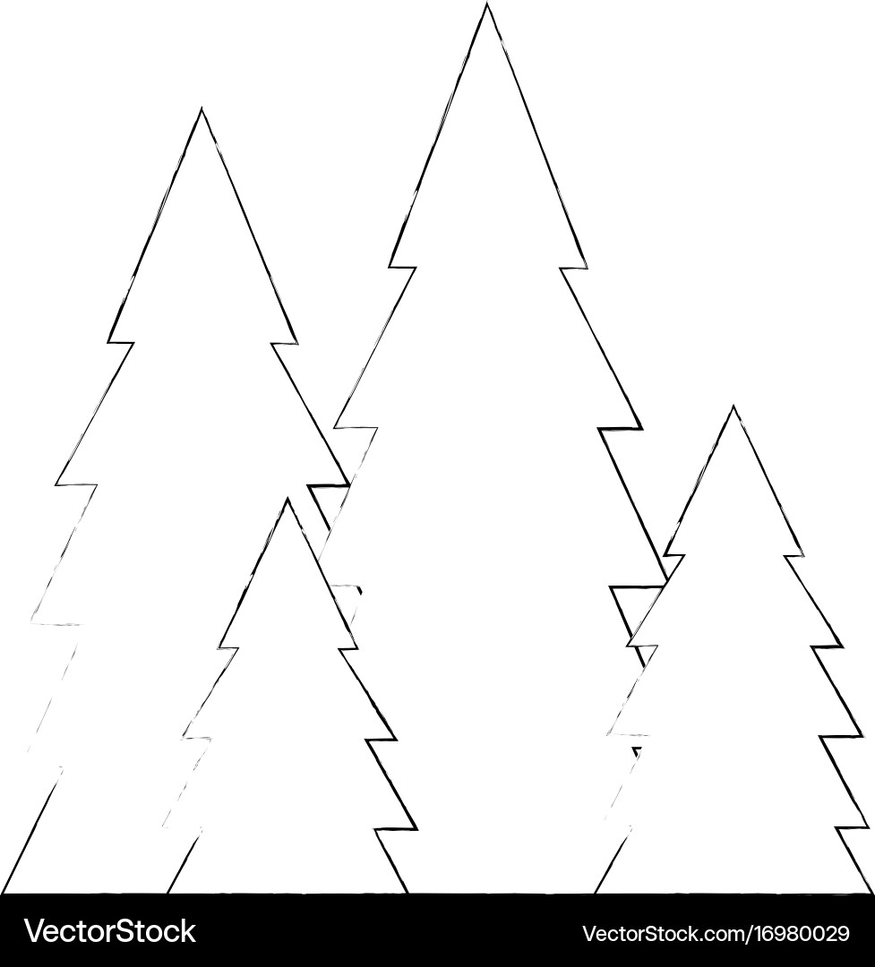 Tree pines isolated vector image