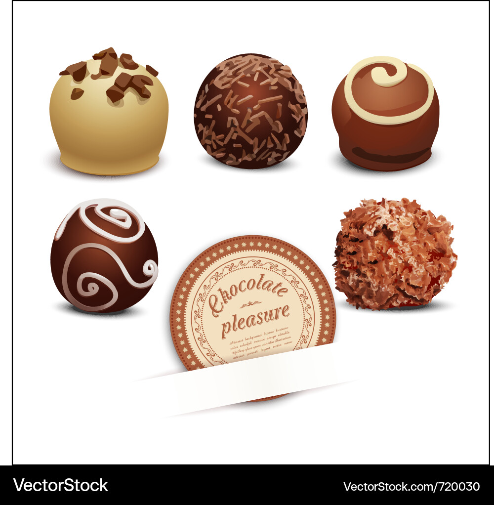 Assorted Chocolate Truffles vector image
