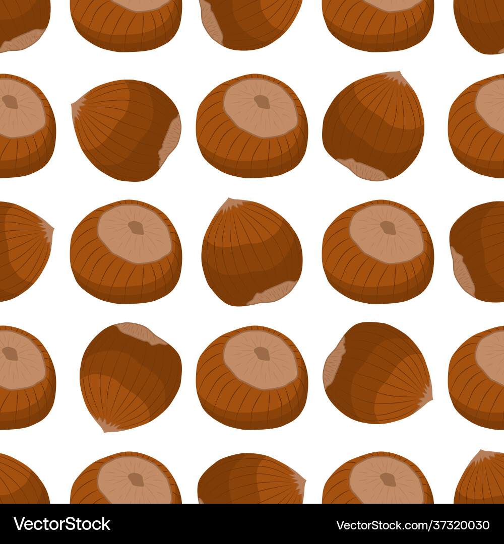 On theme big pattern identical types hazelnut On theme big pattern identical types hazelnut vector image