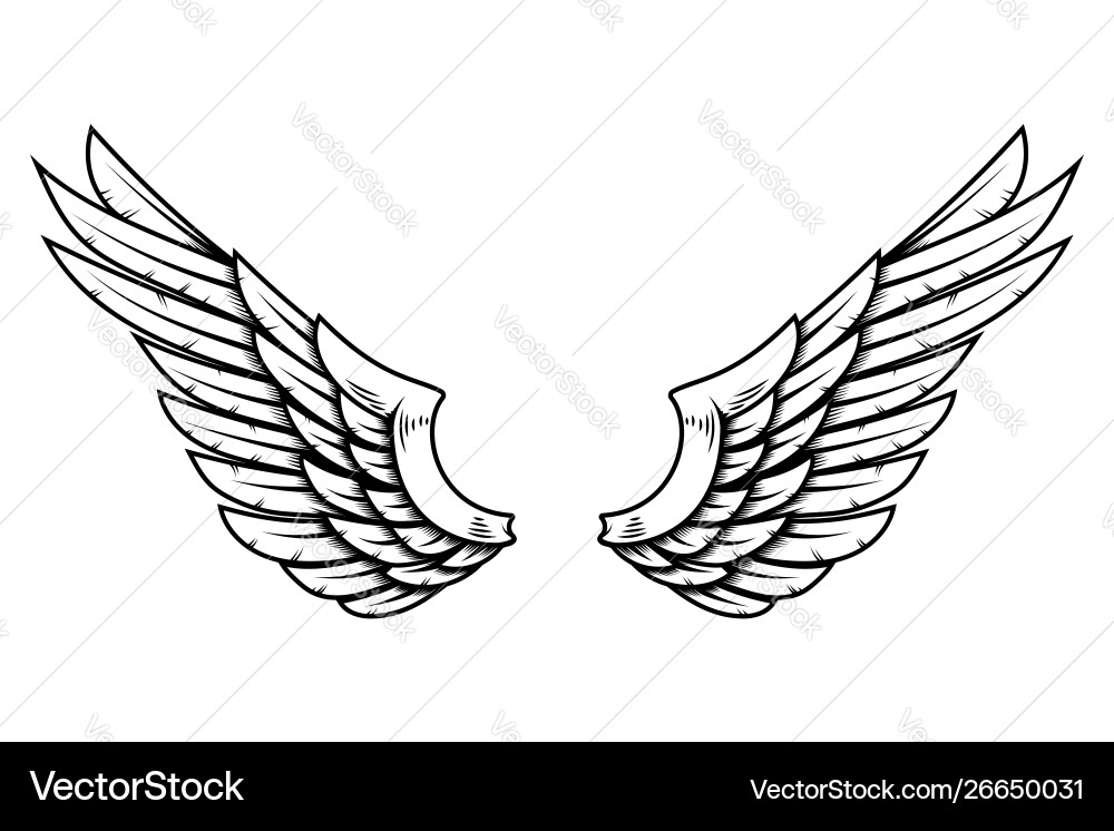 Eagle wings in tattoo style isolated on white Eagle wings in tattoo style isolated on white vector image