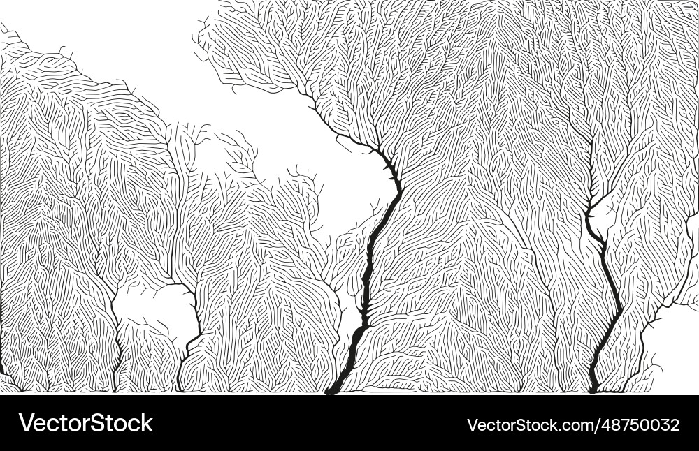 Growth pattern generative branching structure Vector Image
