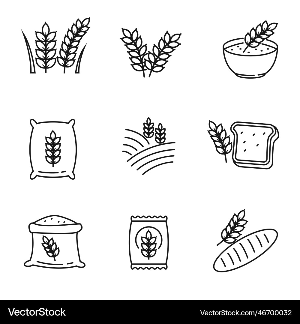 Set of grain icons in linear style Set of grain icons in linear style vector image