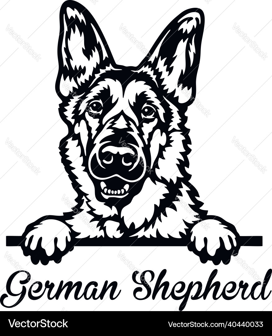 German Shepherd Head - Peeking Dog vector image