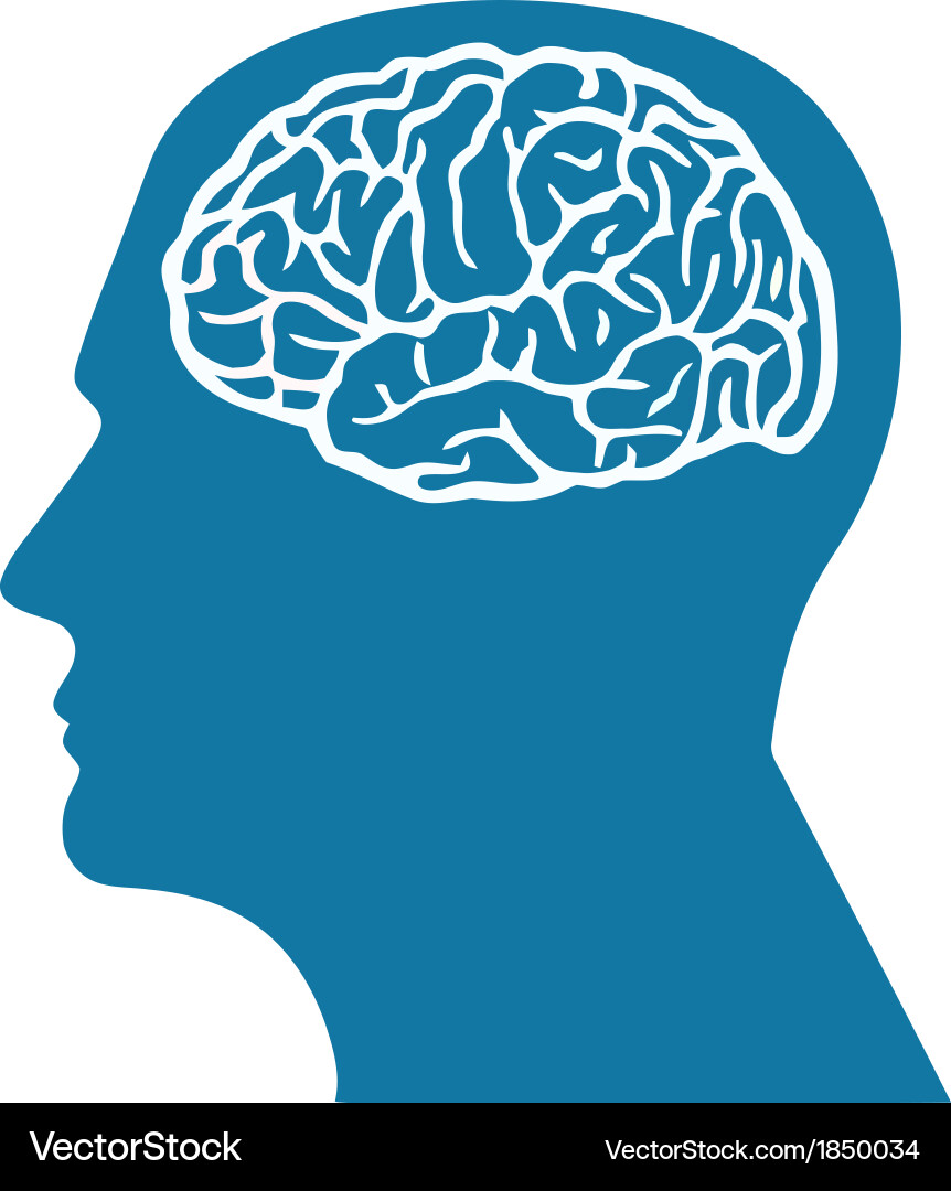 Brain in head Royalty Free Vector Image - VectorStock