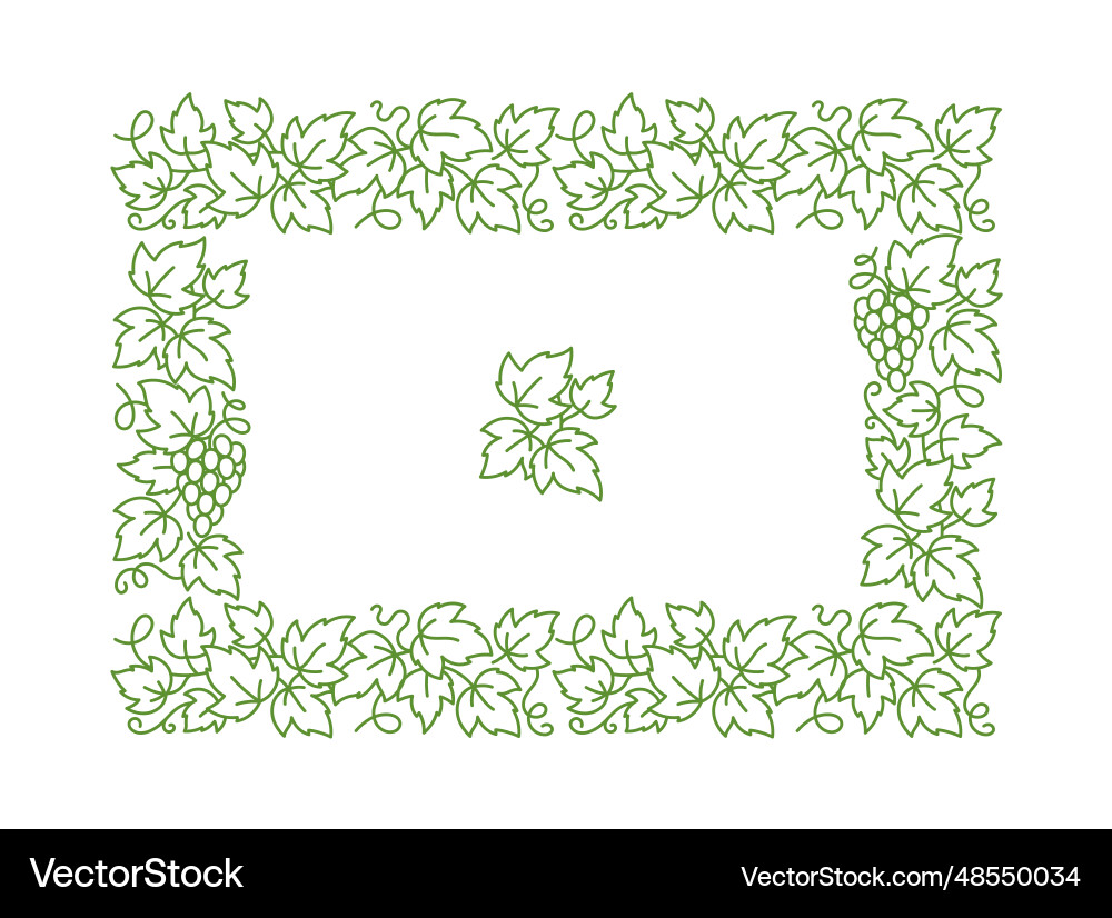Grape vine rectangular frame leaves vector image